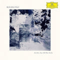 Roger Eno: The Skies, they shift like chords... - VINYL LP