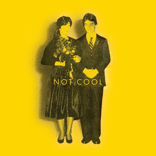 Tim Easton: Not Cool [ Vinyl ]
