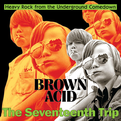 Various Artists - Brown Acid: The Seventeenth Trip - LP [ Record ]