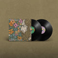 Mick Flannery: Goodtime Charlie [ Vinyl ]