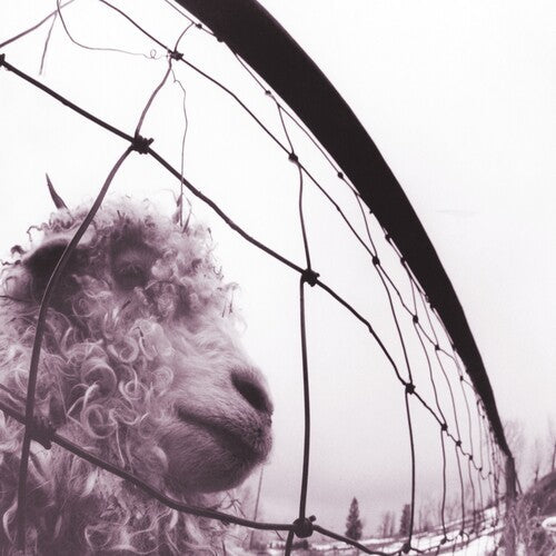 Pearl Jam - Vs. (30th Anniversary) - LP [ Record ]