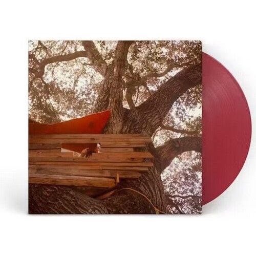 The Backseat Lovers - Waiting To Spill (Anniversary Edition) - LP [ Record ]
