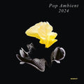 Various Artists: Pop Ambient 2024 - COMPACT DISCS
