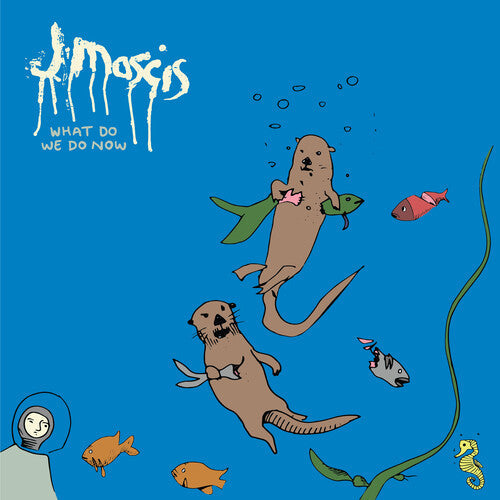 J Mascis - What Do We Do Now - LP [ Record ]