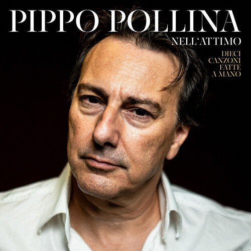 Pippo Pollina: Nell'attimo { CD }