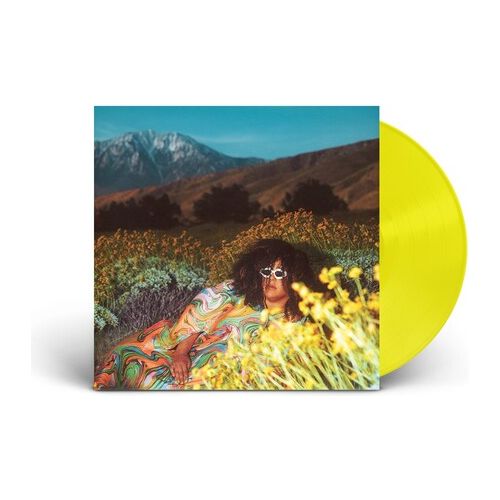 Brittany Howard - What Now - LP [ Record ]