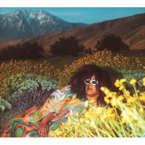 Brittany Howard - What Now - LP [ Record ]