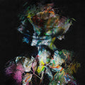 Imminence: Heaven In Hiding - CD
