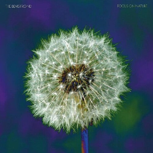 The Bevis Frond: Focus On Nature - CD