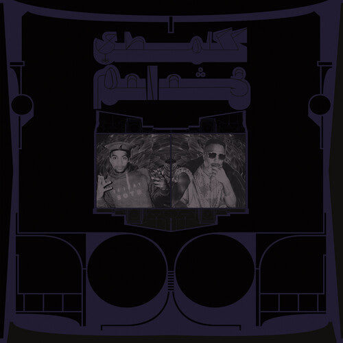 Shabazz Palaces - Exotic Birds of Prey - LP [ Record ]