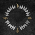 Our Home Our Hollow: Burn In the Flood - VINYL