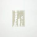 Fat White Family: Forgiveness Is Yours - CD