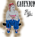 Calexico: Feast of Wire (Bonus Track Version) - VINYL