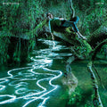 Sam Lee: Songdreaming [ Vinyl ]