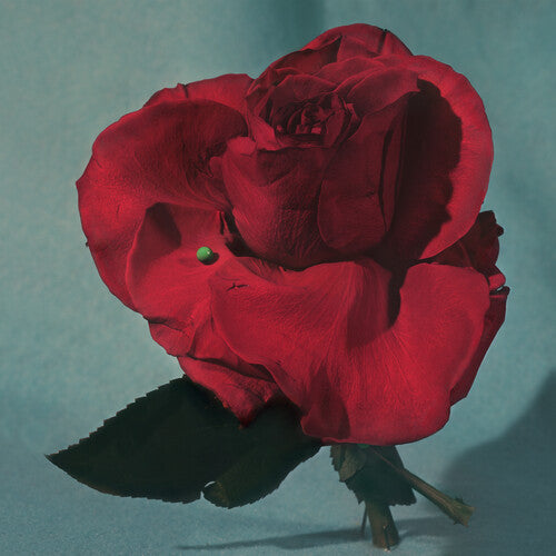 METZ - Up on Gravity Hill - LP [ Record ]