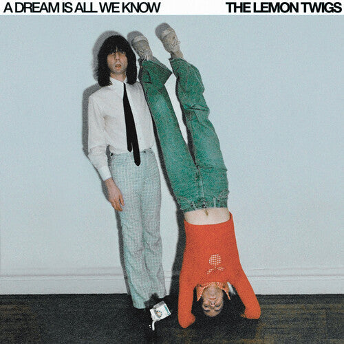 The Lemon Twigs: A Dream Is All We Know - CD