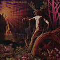 Tarot: Glimpse Of The Dawn - VINYL