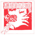Guided by Voices - Same Place The Fly Got Smashed - LP [ Record ]