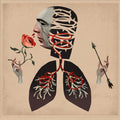 Hot Water Music: Vows - CD