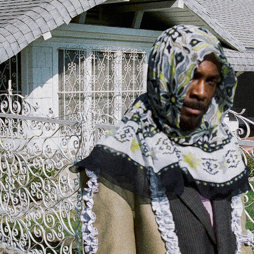 JPEGMafia - All My Heroes Are Cornballs - LP [ Record ]