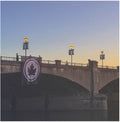 The Early November: Fifteen Years - VINYL