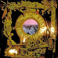 The Growlers: Hung At Heart - VINYL