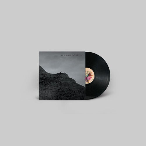 Tyler Ramsey: The Valley Wind [ Vinyl ]