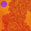 Nubiyan Twist: Find Your Flame - CD