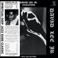 David Jr Lee: Evolution - VINYL
