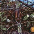 Dragonfly - Dragonfly - LP [ Record ]