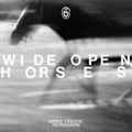 James Vincent McMorrow: Wide Open, Horses { CD }
