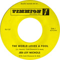 Jeb Loy Nichols: The World Loves a Fool/Not There Yet - 7-INCH SINGLE