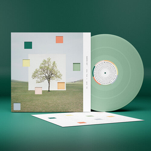 Washed Out - Notes From a Quiet Life - Loser Edition - LP [ Record ]