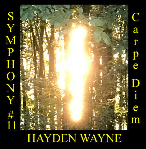 Hayden Wayne: Symphony #11: Carpe Diem { CD }