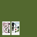 John Moreland: Visitor { CD }