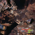 Joseph Decosimo: Beehive Cathedral [ Vinyl ]
