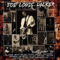 Joe Louis Walker: Blues Comin' On - VINYL LP