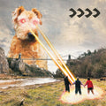 Beakv: >>>> - CD