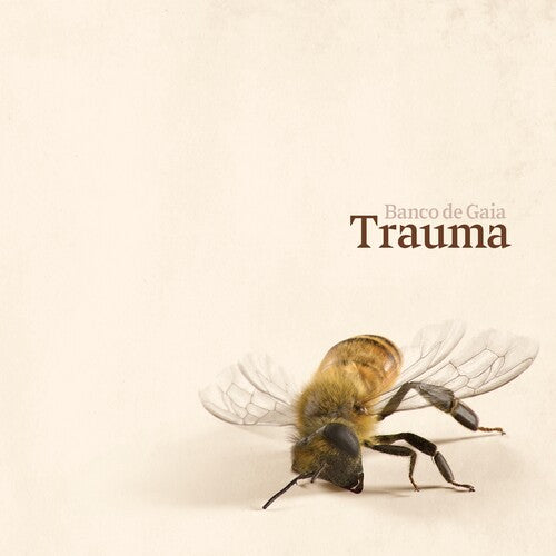 Banco de Gaia: Trauma [ Vinyl ]