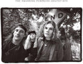 Smashing Pumpkins: Rotten Apples: Greatest Hits - VINYL