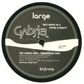 Roy Davis Jr: Gabriel - 12-INCH SINGLE