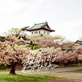 Weiscape: Never Going To The Town Where You Live Anymore - CASSETTES