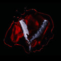 Black Veil Brides - Bleeders - LP [ Record ]
