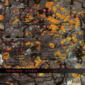 Monolake: Studio - COMPACT DISCS