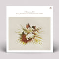 Calm Presents F.K.: Shining Of Life Flutemental - Unreleased Versions - 12-INCH SINGLE