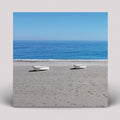 My Friend Dario: Senza Estate [ Vinyl ]