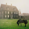 Lutalo: The Academy - Meadow Green [ Vinyl ]