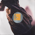 Pixies - The Night the Zombies Came - LP [ Record ]