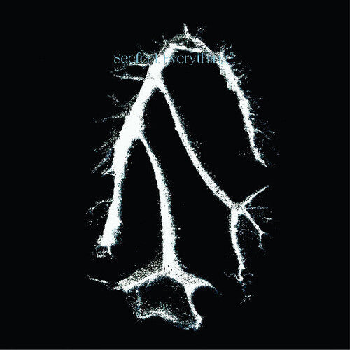 Seefeel: Everything Squared [ Vinyl ]