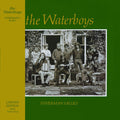 The Waterboys - Fisherman's Blues - LP [ Record ]